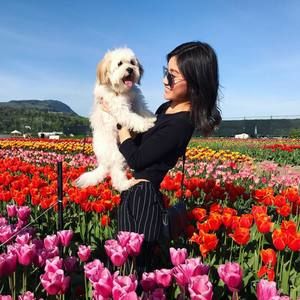 Meet your Posher, Lisa